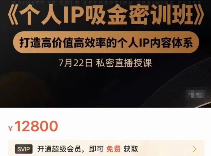 个人IP吸金密训班，打造高价值高效率的个人IP内容体系（价值12800元）云富网创-网创项目资源站-副业项目-创业项目-搞钱项目云富网创