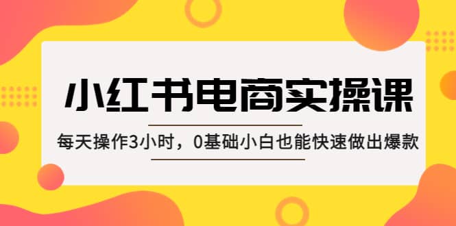 小红书·电商实操课：每天操作3小时，0基础小白也能快速做出爆款云富网创-网创项目资源站-副业项目-创业项目-搞钱项目云富网创