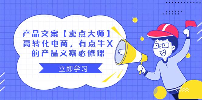 产品文案【卖点大师】高转化电商，有点牛X的 产品文案必修课云富网创-网创项目资源站-副业项目-创业项目-搞钱项目云富网创