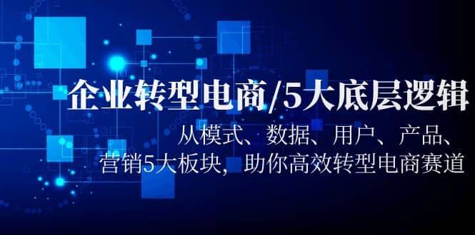 企业转型电商/5大底层逻辑，从模式 数据 用户 产品 营销5大板块，高效转型云富网创-网创项目资源站-副业项目-创业项目-搞钱项目云富网创