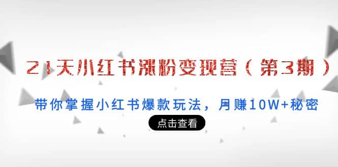 21天小红书涨粉变现营（第3期）：带你掌握小红书爆款玩法，月赚10W+秘密云富网创-网创项目资源站-副业项目-创业项目-搞钱项目云富网创