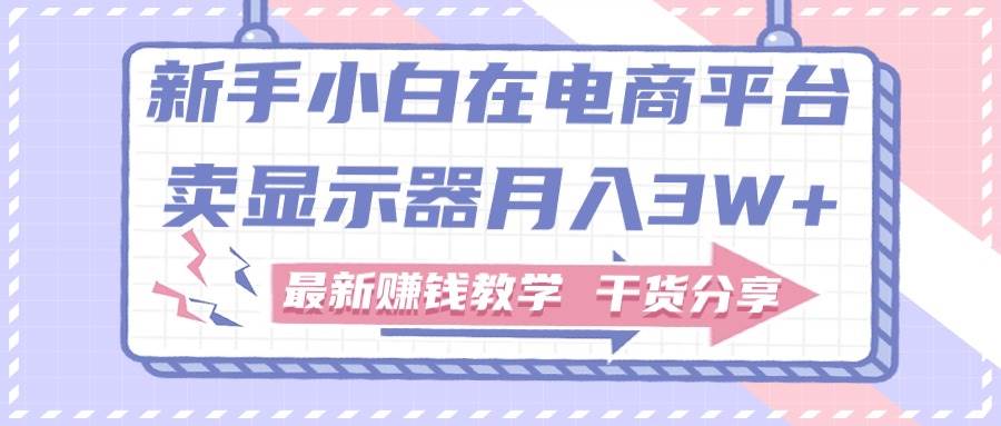 新手小白如何做到在电商平台卖显示器月入3W+，最新赚钱教学干货分享云富网创-网创项目资源站-副业项目-创业项目-搞钱项目云富网创