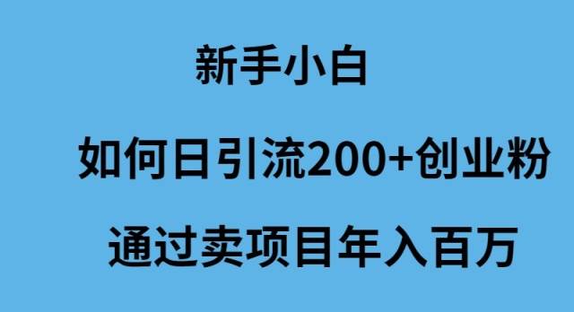 新手小白如何日引流200+创业粉通过卖项目年入百万云富网创-网创项目资源站-副业项目-创业项目-搞钱项目云富网创