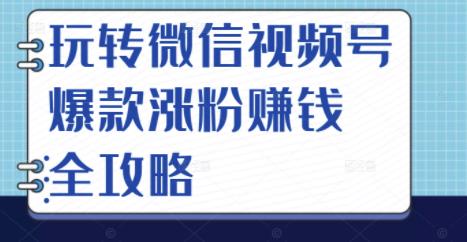 玩转微信视频号爆款涨粉赚钱全攻略，让你快速抓住流量风口，收获红利财富云富网创-网创项目资源站-副业项目-创业项目-搞钱项目云富网创