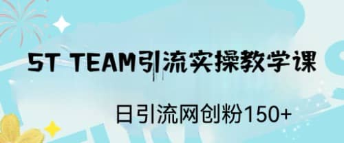 ST TEAM引流实操课，日引流网创粉100+云富网创-网创项目资源站-副业项目-创业项目-搞钱项目云富网创