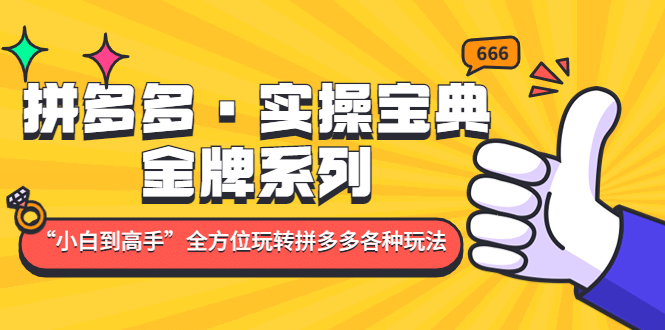 拼多多·实操宝典：金牌系列“小白到高手”带你全方位玩转拼多多各种玩法云富网创-网创项目资源站-副业项目-创业项目-搞钱项目云富网创