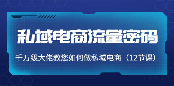 私域电商流量密码：千万级大佬教您如何做私域电商（12节课）云富网创-网创项目资源站-副业项目-创业项目-搞钱项目云富网创