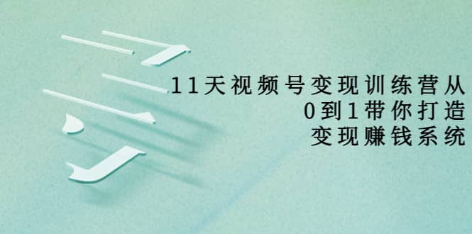 好望角·11天视频号变现训练营，从0到1打造变现赚钱系统（价值398）云富网创-网创项目资源站-副业项目-创业项目-搞钱项目云富网创