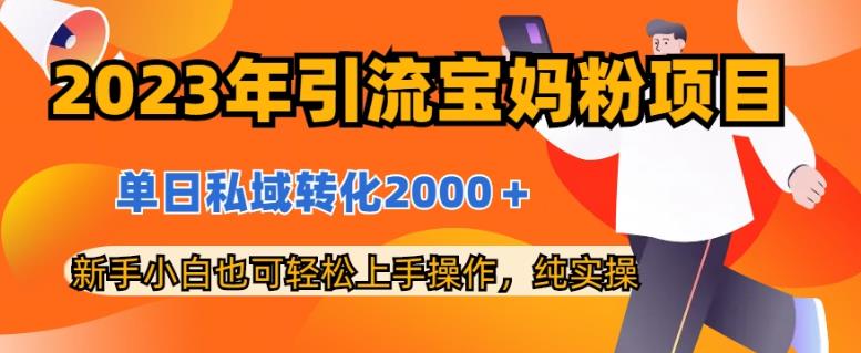 2023年引流宝妈粉项目，单日私域转化2000＋，新手小白也可轻松上手操作，纯实操云富网创-网创项目资源站-副业项目-创业项目-搞钱项目云富网创