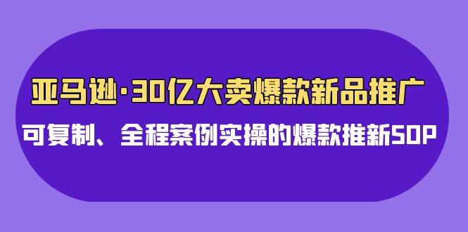 亚马逊30亿·大卖爆款新品推广，可复制、全程案例实操的爆款推新SOP云富网创-网创项目资源站-副业项目-创业项目-搞钱项目云富网创