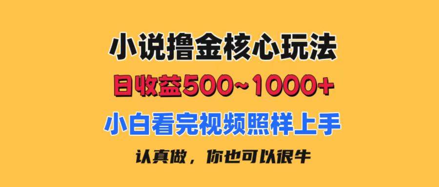 小说撸金核心玩法，日收益500-1000+，小白看完照样上手，0成本有手就行云富网创-网创项目资源站-副业项目-创业项目-搞钱项目云富网创