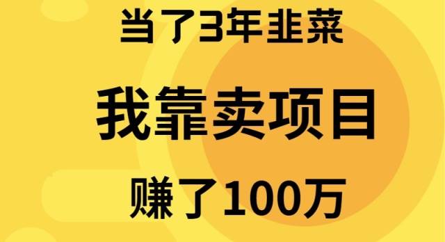 当了3年韭菜，我靠卖项目赚了100万云富网创-网创项目资源站-副业项目-创业项目-搞钱项目云富网创