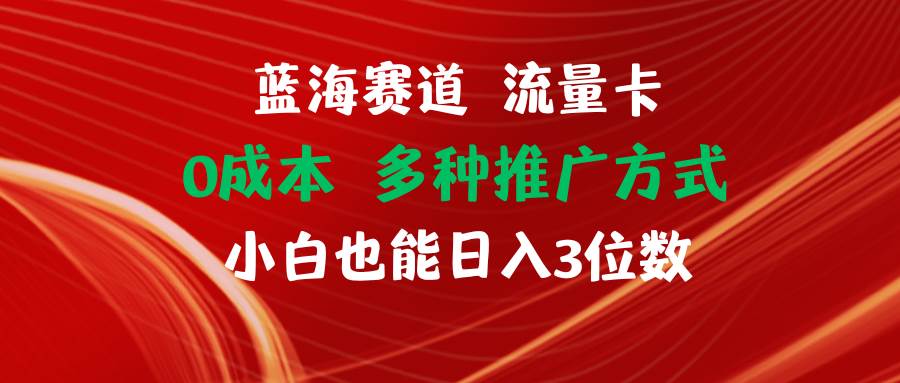 蓝海赛道 流量卡 0成本 小白也能日入三位数云富网创-网创项目资源站-副业项目-创业项目-搞钱项目云富网创