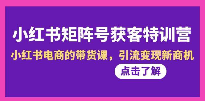 小红书-矩阵号获客特训营-第10期，小红书电商的带货课，引流变现新商机云富网创-网创项目资源站-副业项目-创业项目-搞钱项目云富网创