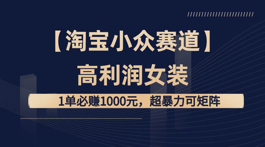 【淘宝小众赛道】高利润女装：1单必赚1000元，超暴力可矩阵云富网创-网创项目资源站-副业项目-创业项目-搞钱项目云富网创