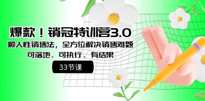 爆款！销冠特训营3.0之顺人性销售法，全方位解决销售难题、可落地、可执行、有结果云富网创-网创项目资源站-副业项目-创业项目-搞钱项目云富网创