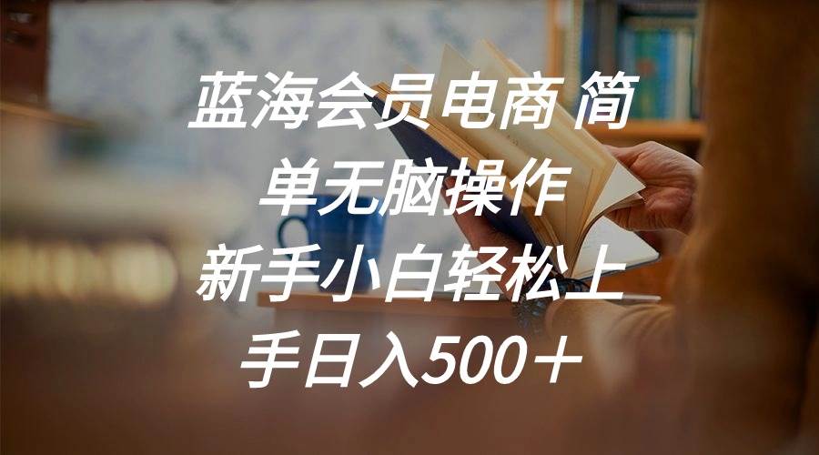 蓝海会员电商 简单无脑操作 新手小白轻松上手日入500＋云富网创-网创项目资源站-副业项目-创业项目-搞钱项目云富网创