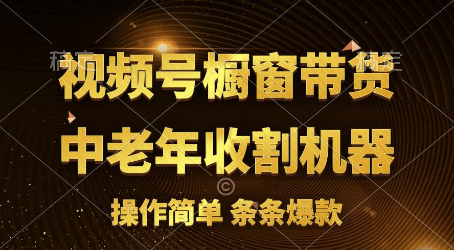 [你的孩子成功取得高位]视频号最火爆赛道，橱窗带货，流量分成计划，条…云富网创-网创项目资源站-副业项目-创业项目-搞钱项目云富网创