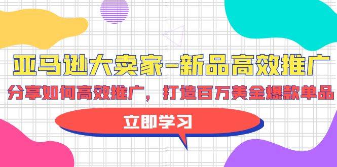 亚马逊 大卖家-新品高效推广，分享如何高效推广，打造百万美金爆款单品云富网创-网创项目资源站-副业项目-创业项目-搞钱项目云富网创