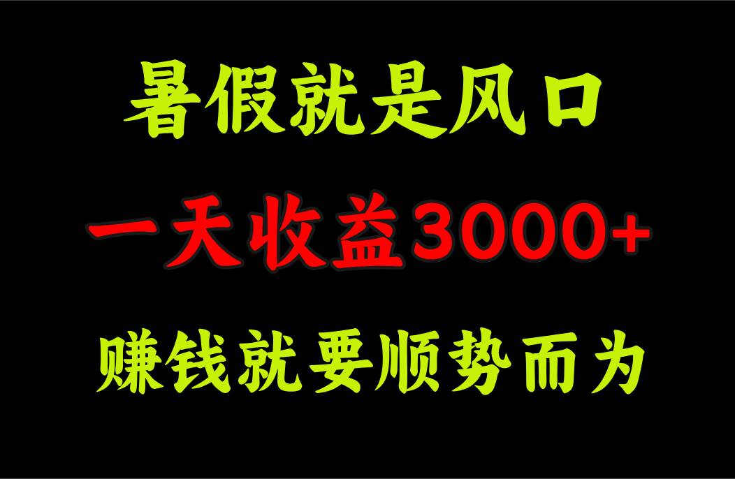 一天收益3000+ 赚钱就是顺势而为，暑假就是风口云富网创-网创项目资源站-副业项目-创业项目-搞钱项目云富网创