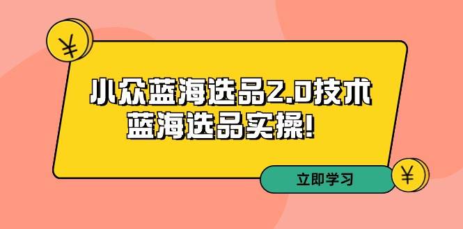 拼多多培训第33期：小众蓝海选品2.0技术-蓝海选品实操！云富网创-网创项目资源站-副业项目-创业项目-搞钱项目云富网创