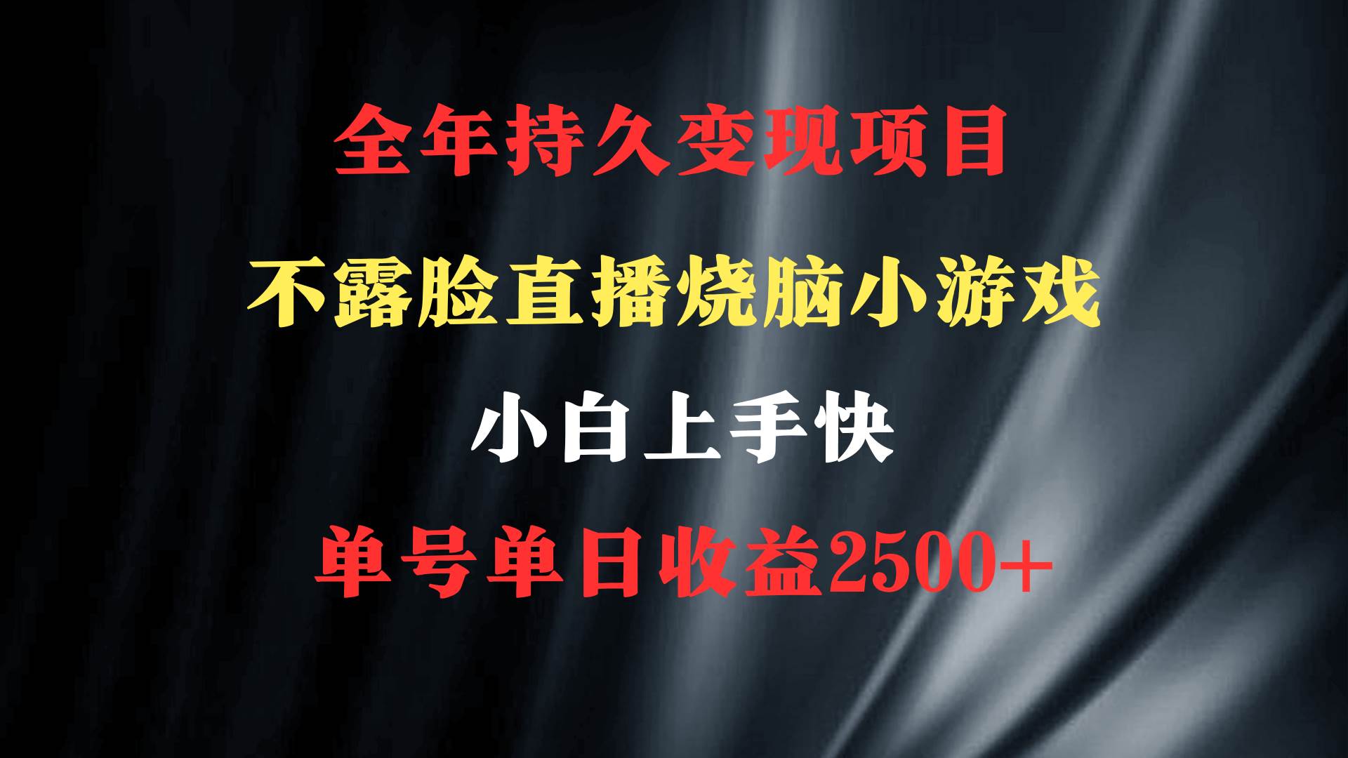 2024年 最优项目，烧脑小游戏不露脸直播  小白上手快 无门槛 一天收益2500+云富网创-网创项目资源站-副业项目-创业项目-搞钱项目云富网创