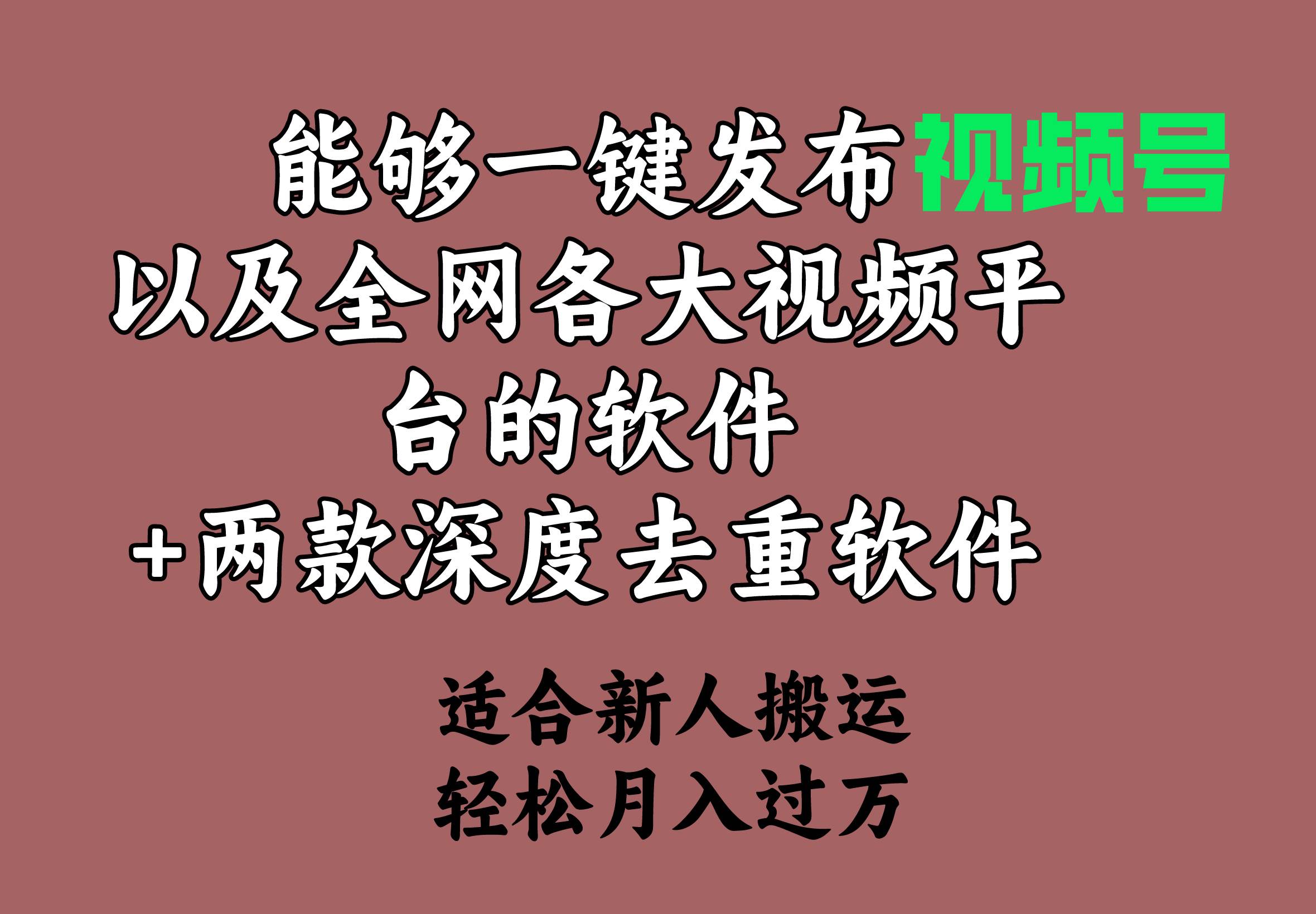 能够一键发布视频号以及全网各大视频平台的软件+两款深度去重软件 适合…云富网创-网创项目资源站-副业项目-创业项目-搞钱项目云富网创