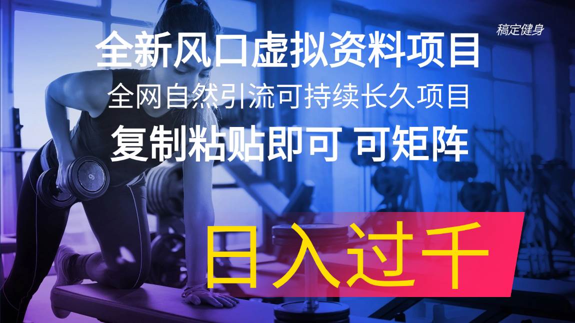 全新风口虚拟资料项目 全网自然引流可持续长久项目 复制粘贴即可可矩阵…云富网创-网创项目资源站-副业项目-创业项目-搞钱项目云富网创