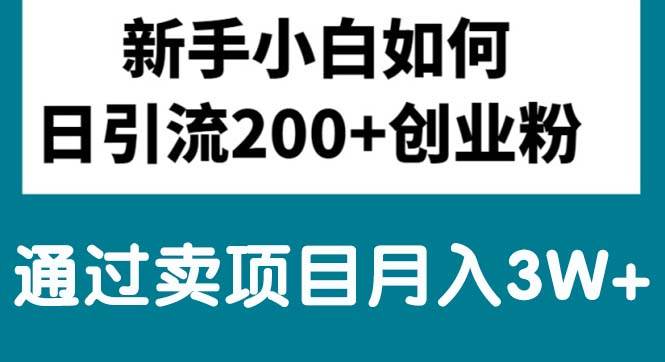 新手小白日引流200+创业粉,通过卖项目月入3W+云富网创-网创项目资源站-副业项目-创业项目-搞钱项目云富网创