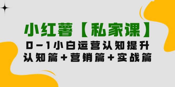 小红薯【私家课】0-1玩赚小红书内容营销，认知篇+营销篇+实战篇（11节课）云富网创-网创项目资源站-副业项目-创业项目-搞钱项目云富网创