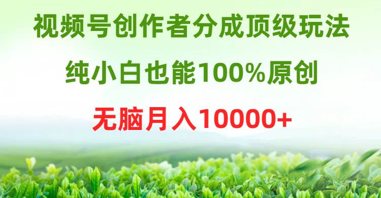 视频号创作者分成顶级玩法，纯小白也能100%原创，无脑月入10000+云富网创-网创项目资源站-副业项目-创业项目-搞钱项目云富网创