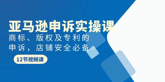 亚马逊-申诉实战课，商标、版权及专利的申诉，店铺安全必备云富网创-网创项目资源站-副业项目-创业项目-搞钱项目云富网创