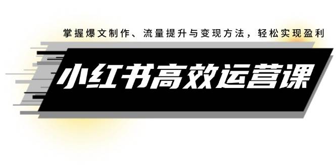 小红书高效运营课：掌握爆文制作、流量提升与变现方法，轻松实现盈利云富网创-网创项目资源站-副业项目-创业项目-搞钱项目云富网创