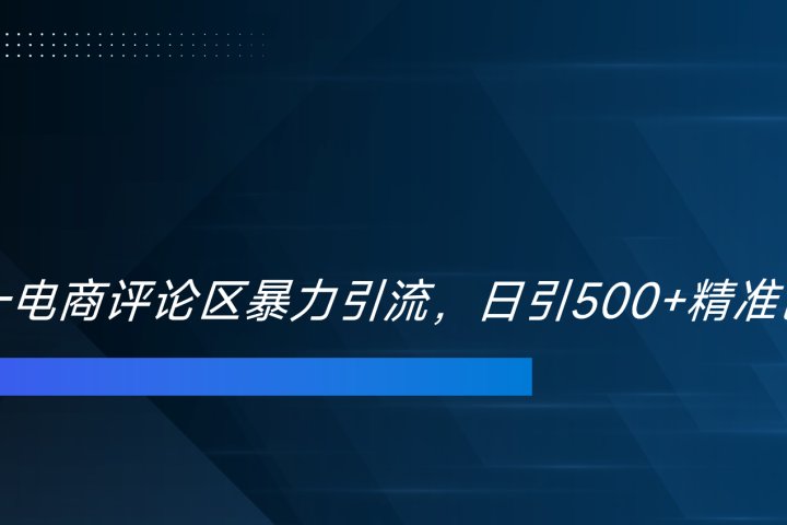 双十一电商评论区暴力引流，日引500+精准创业粉！！！云富网创-网创项目资源站-副业项目-创业项目-搞钱项目云富网创