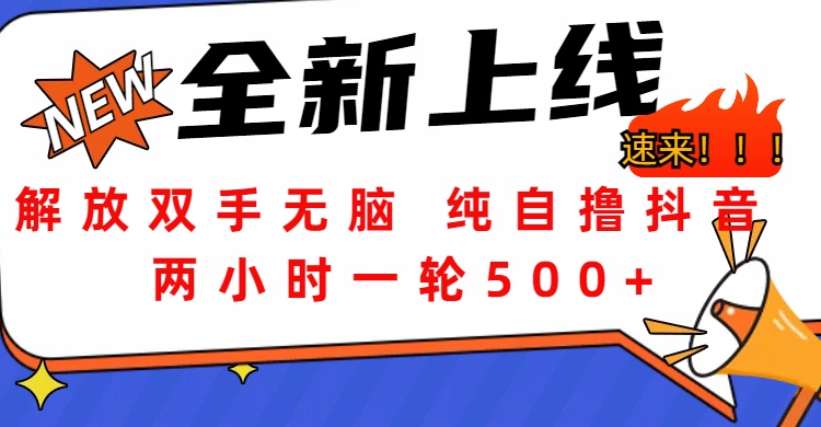 解放双手无脑 纯自撸抖音 两小时一轮500+云富网创-网创项目资源站-副业项目-创业项目-搞钱项目云富网创