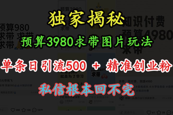 “小红书”预算3980求带 图片玩法，单条日引流500+精准创业粉，私信根本回不完云富网创-网创项目资源站-副业项目-创业项目-搞钱项目云富网创